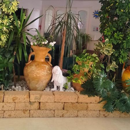 Hotel De Amicis Ριτσόνε Εξωτερικό φωτογραφία